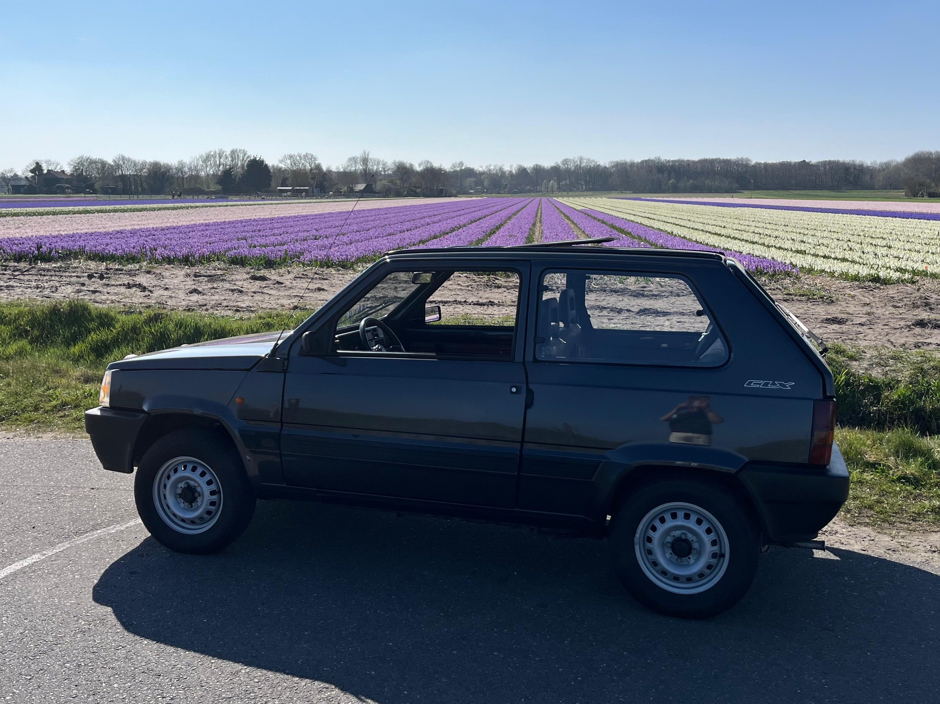 Glozz auto 4